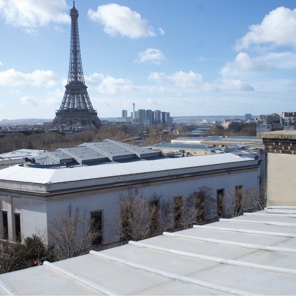 Meet your Posher, Mackenzie